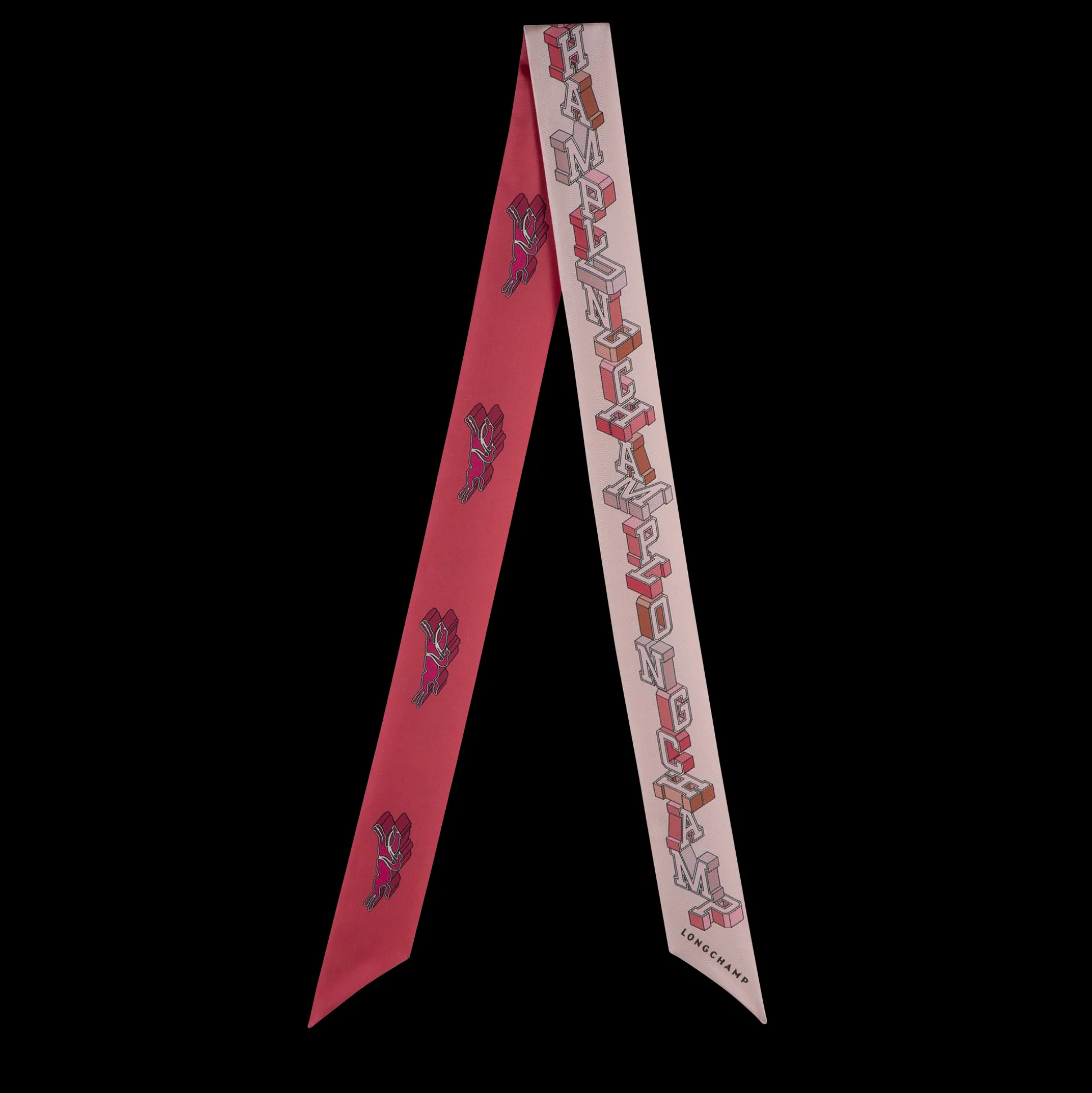 Shop Longchamp A fascia University OTHER - Ballerina