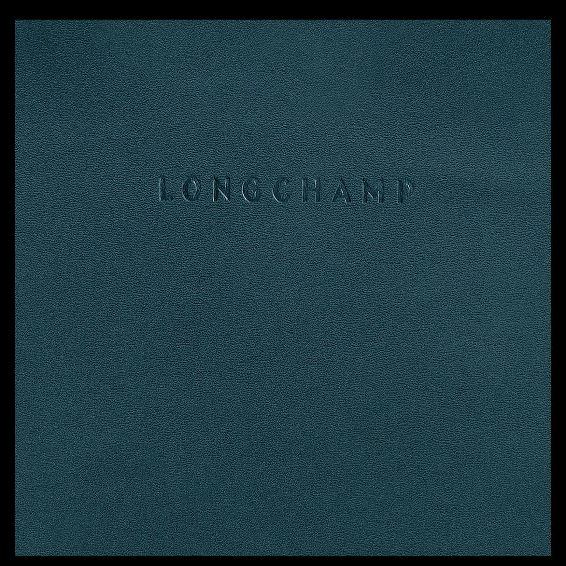 borsa_hobo_s_4-6.webp Cheap Longchamp Borsa hobo S Inchiostro