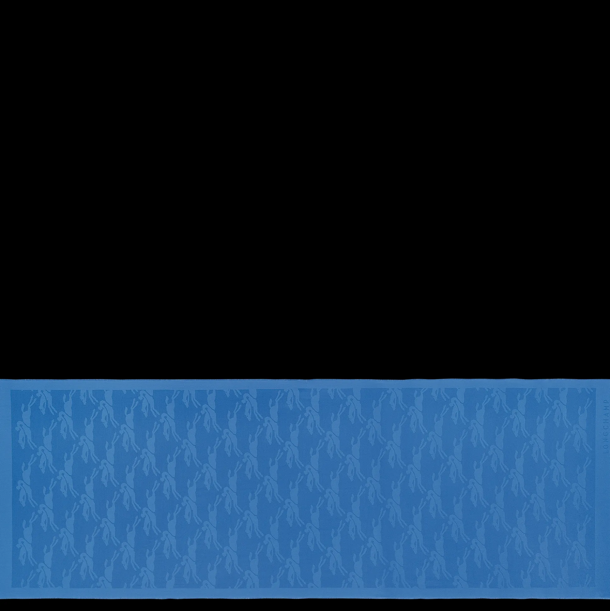 Store Longchamp Stole Fiordaliso