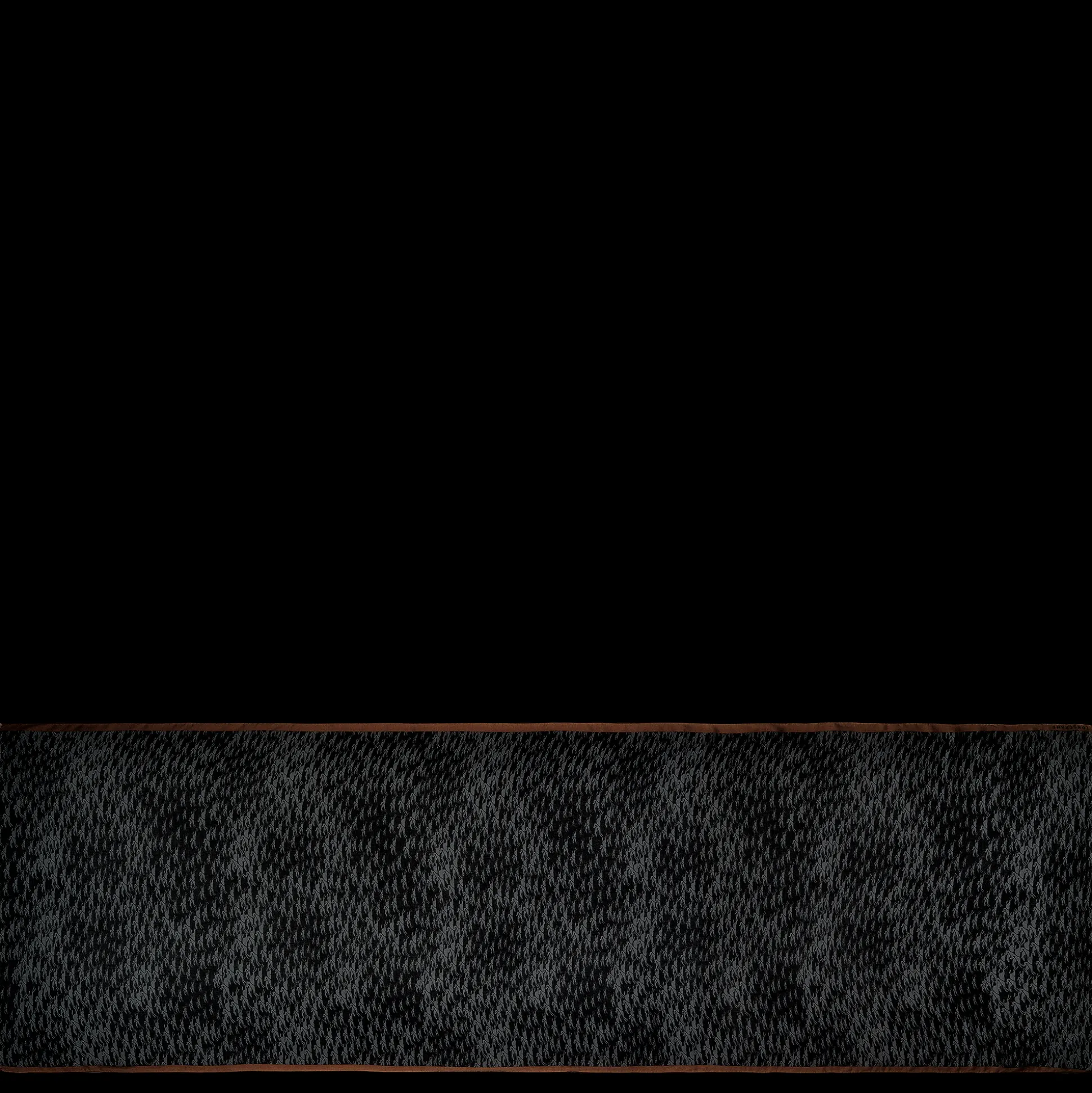 Online Longchamp Stole Nero