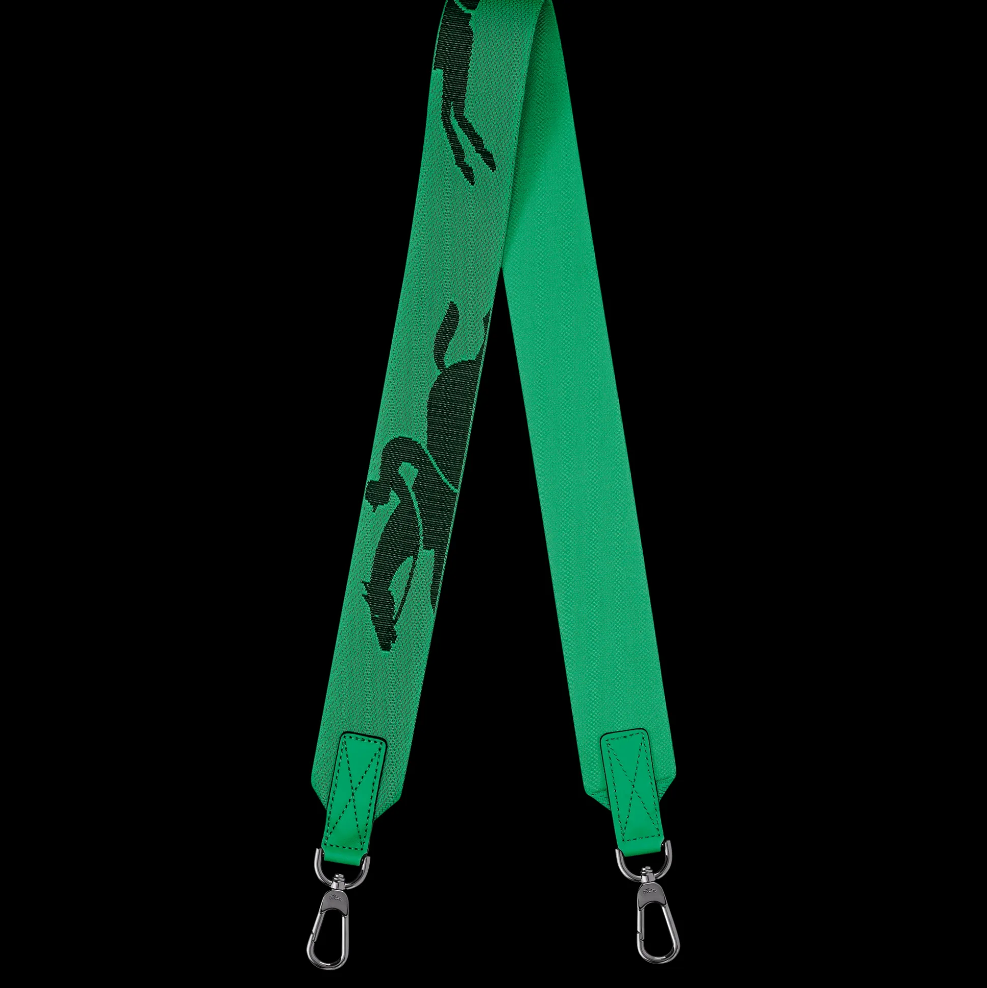 Sale Longchamp Tracolla Verde